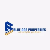 Blue One Properties