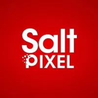 Salt & Pixel Company Limited Salt & Pixel Company Limited