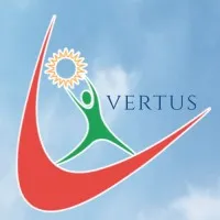 VERTUS ALTERNATIVE ENERGY SOLUTIONS PRIVATE LIMITED