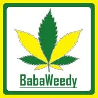 BabaWeedy HR Solutions