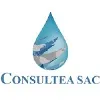 CONSULTEA SAC CONSULTEA SAC