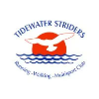 Tidewater Striders