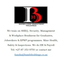 BAMBILIZWE INVESTMENTS HOLDINGS