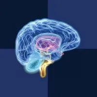 CNS Vital Signs