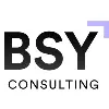BSY Consulting Pvt Ltd