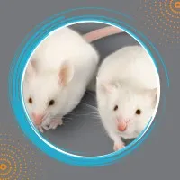 Mutant Mouse Resource & Research Centers MMRRC