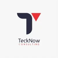 TeckNow Consulting LLC