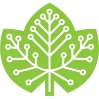 Cybervine IT Solutions