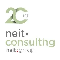 Neit Consulting
