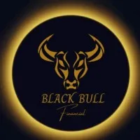Black Bull Financial
