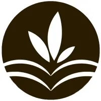 Tatva Essence Tatva Essence