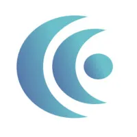 Carriera Consulting