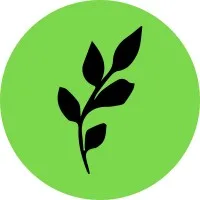 Goodness Village - Livermore