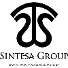 Sintesa Group Sintesa Group