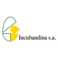 Incubandina