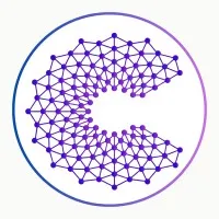 Curious Business Solutions