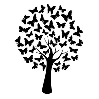 Transform Consulting LLC Transform Consulting LLC