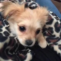 In memory of People’s Home equity and UCL