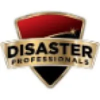 Disaster Professionals, LLC Disaster Professionals, LLC