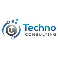 Techno Consulting
