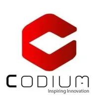 CodiumCorp Systems Pvt. Ltd.