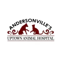 Uptown Animal Hospital, INC