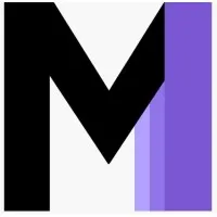 Mills Information Systems, LLC