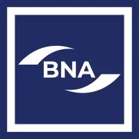 British Nursing Association