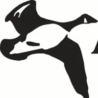 Appomattox Insurance Services