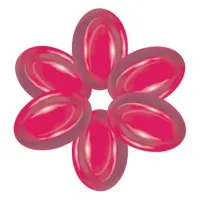 InTouch Pharmacy InTouch Pharmacy