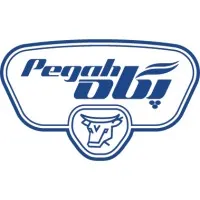 Pegah Distribution Company