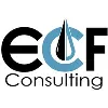 ECF Consulting, LLC ECF Consulting, LLC