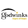 GODWINK BRANDS GODWINK BRANDS