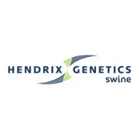 Hendrix Genetics Swine Hendrix Genetics Swine