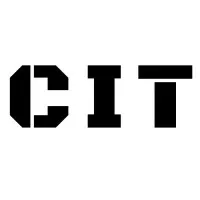 Consultants in Information Technology