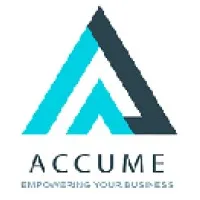 Accume Business Consultant