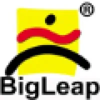 BigLeap Solutions