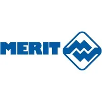 Merit Automotive Electronics Systems. email format