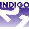 Indigo 21 Ltd Indigo 21 Ltd