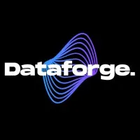 Dataforge Consulting