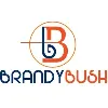 BrandyBush Services Pvt. Ltd. BrandyBush Services Pvt. Ltd.