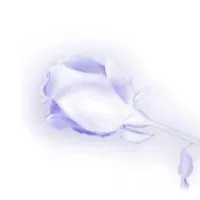 Silver Rose Entertainment