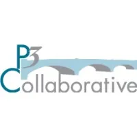 P3 Collaborative LLC