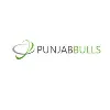 Punjabbulls Technology Pvt Ltd Punjabbulls Technology Pvt Ltd