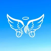 Heavenly Hawaiian, LTD.