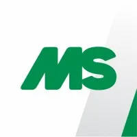 MS Schippers Brasil