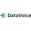 DataVoice International
