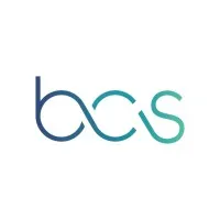 Bing Consulting Services, Inc.