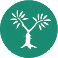 MEJDI Tours