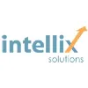 Intellix Solutions LLC Intellix Solutions LLC